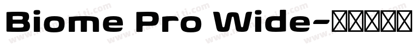 Biome Pro Wide字体转换